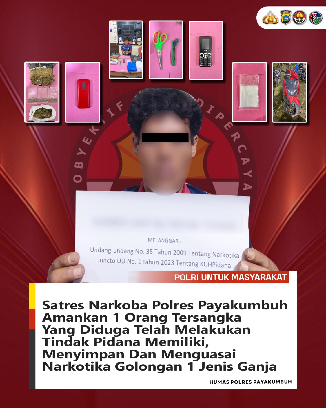 TANGKAP TANGAN, POLRES PAYAKUMBUH AMANKAN PENGEDAR GANJA DENGAN BARANG BUKTI HAMPIR 1 KG
