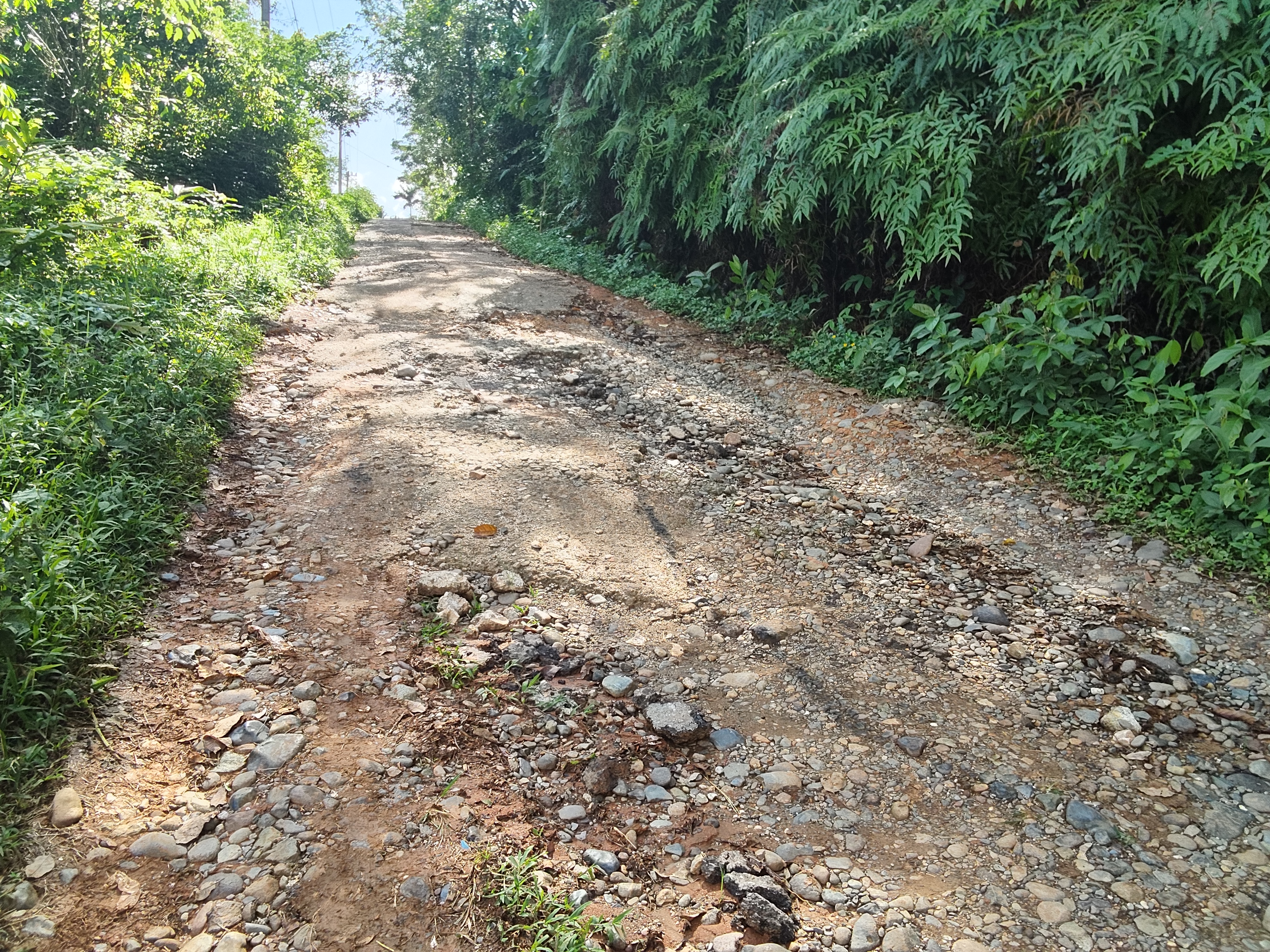 Warga Jorong Kampung Baru Keluhkan Kondisi Jalan Rusak : Akses Ekonomi Dan Pendidikan Terhambat.